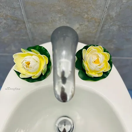 Zisi Apartment Gjirokastër