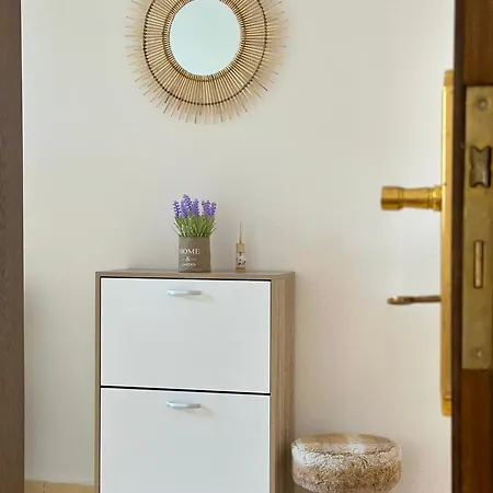 Zisi Apartment Gjirokastër